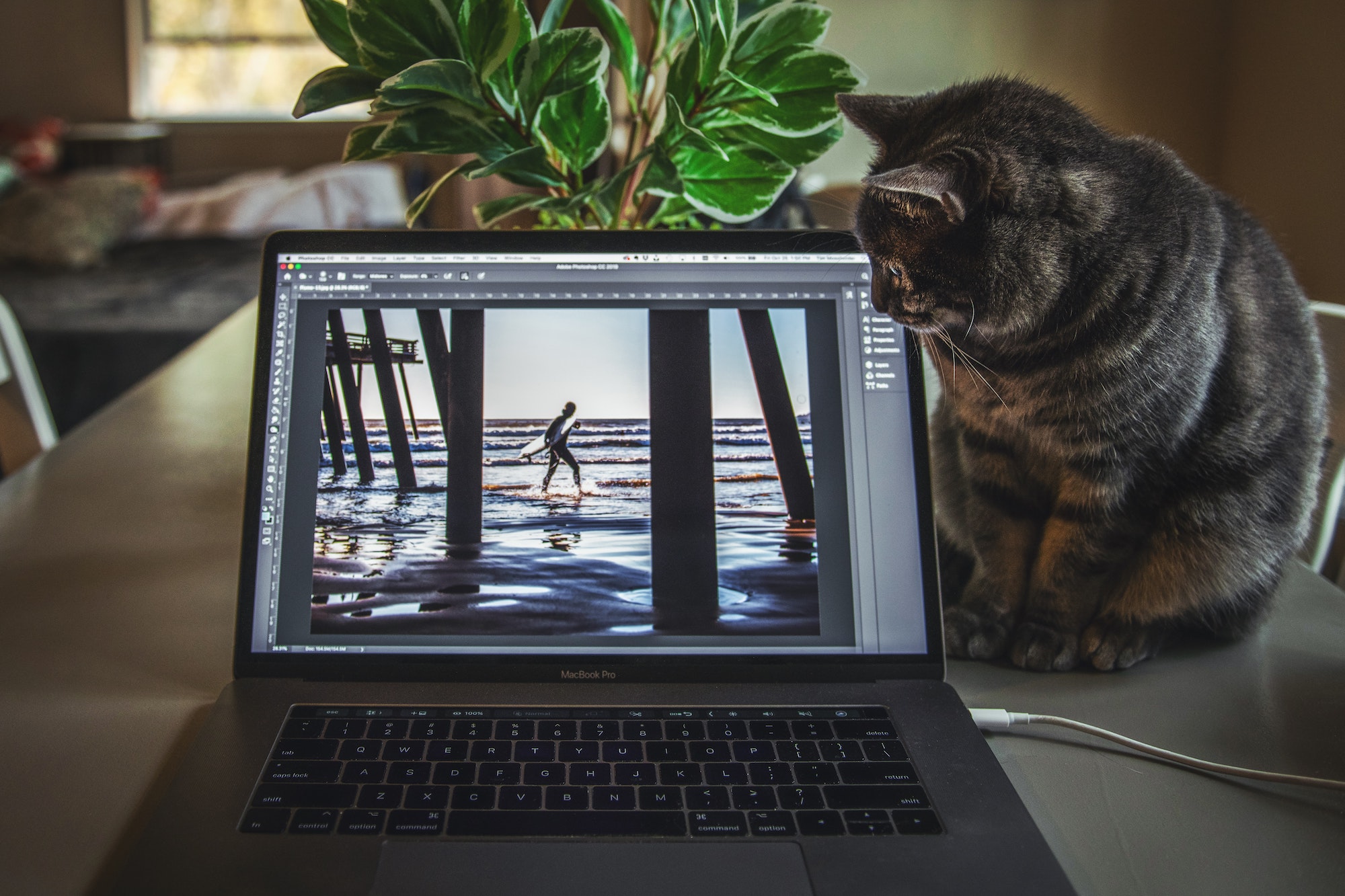 Como redimensionar uma imagem no Photoshop – Tecnoblog