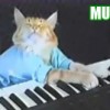Warner decide remover trilha de Keyboard Cat do YouTube [atualizado]