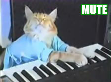 Keyboard Cat: mudo.