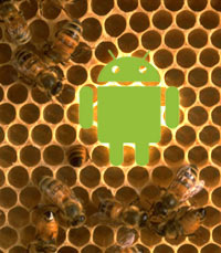 Chefe de segurança do Android diz que ataques a dispositivos móveis vão aumentar