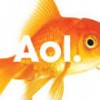 AOL continua com 3,5 milhões de assinantes de dial-up nos EUA
