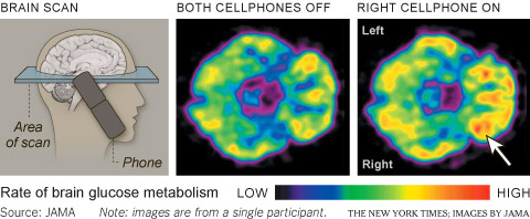 Estudo mostra que radiação de celulares pode interferir no cérebro