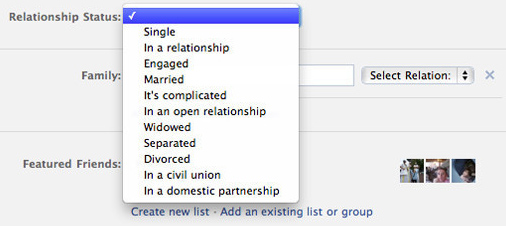 Facebook adiciona status de relacionamento para gays