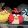 Das telonas do cinema para o Angry Birds