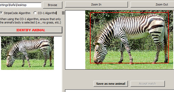 Cientistas criam leitor de código de barras. Para zebras.