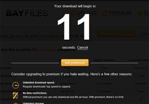 BayFiles: site de envio de arquivos dos mesmos criadores do Pirate Bay