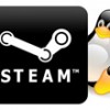 Steam para Linux sai do beta e oferece jogos com desconto