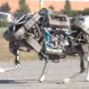 Este é o WildCat, um robô quadrúpede que pode correr a 26 km/h