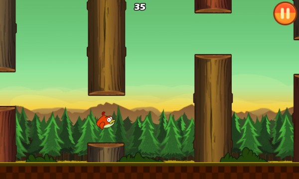 clumsy bird