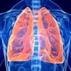 Cientistas conseguem, pela primeira vez, criar um pulmão humano em laboratório
