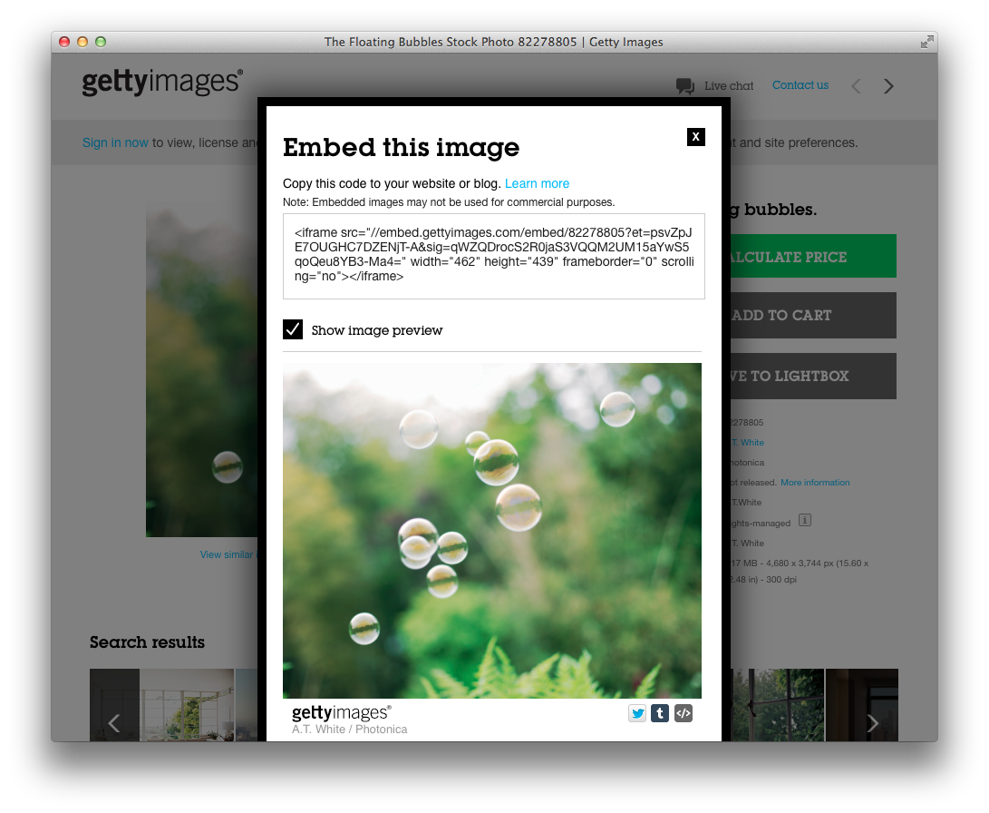 35 milhões de fotos do Getty Images estão liberadas para serem usadas gratuitamente