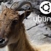 Canonical lança versão final do Ubuntu 14.04 LTS (Trusty Tahr)
