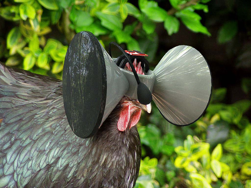 Uma Matrix para galinhas poderia ser a solução para a crise de alimentos?