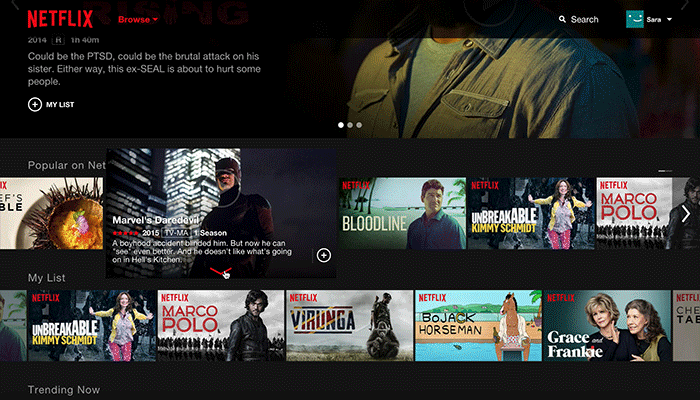 Netflix - nova interface