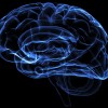 Apps para treinar o cérebro, uma aposta no tratamento da esquizofrenia