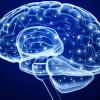Cientistas criam estímulo cerebral que transfere conhecimento como em Matrix… Só que não