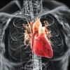 Sem cirurgia: Harvard revela técnica que fecha buracos no coração via cateter
