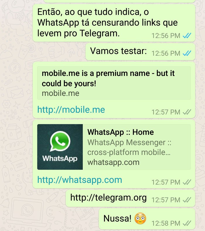 test_telegram_whatsapp_toadgeek