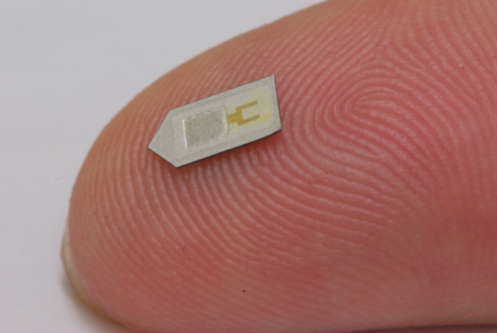 Parece mágica: criaram um chip que se dissolve no corpo depois de monitorar o cérebro