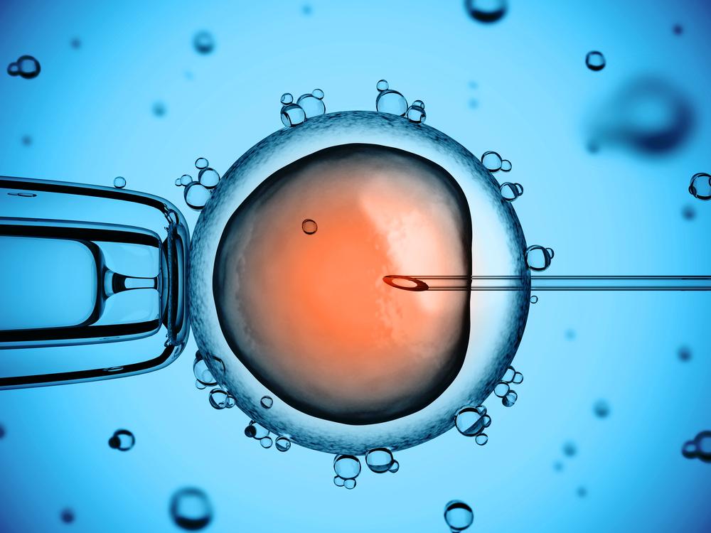 Cientistas editam embrião de humanos para corrigir mutação genética