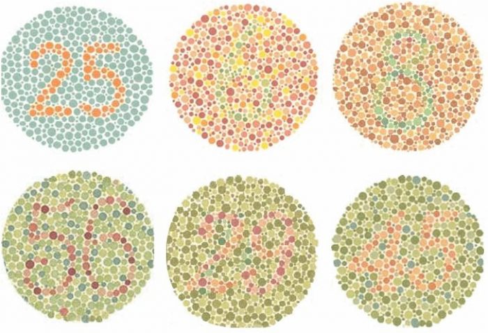 Teste de Ishihara: se você não identifica os números no círculos, é bom procurar um médico