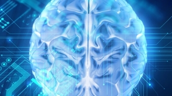 ARM vai desenvolver chips para implantes cerebrais