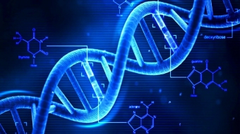 Os planos da Microsoft para armazenar dados em DNA