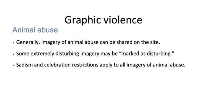 Um dos slides que tratam de violência a animais