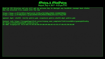Hackers do Petya exigem US$ 250 mil para liberar arquivos criptografados