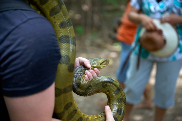 Cobra segurada para selfie (foto por World Animal Protection)