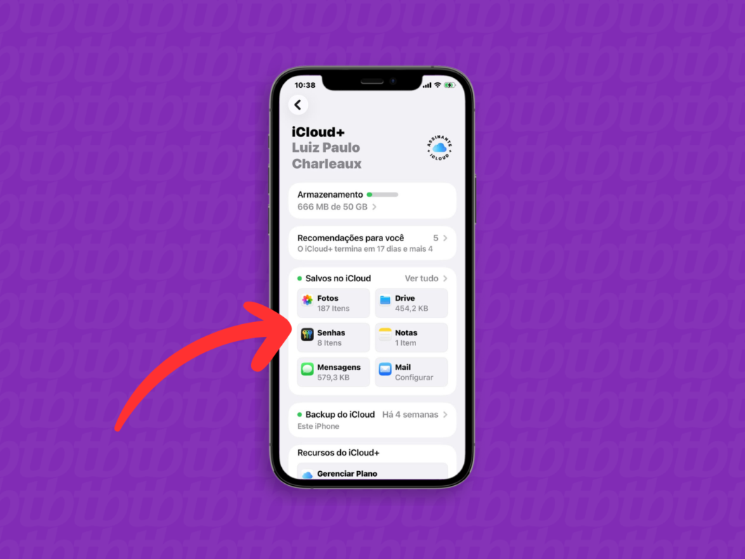 Tela do iPhone mostrando o iCloud+ com a barra de “Armazenamento” e categorias que consomem espaço (Fotos, Drive, Senhas etc.)