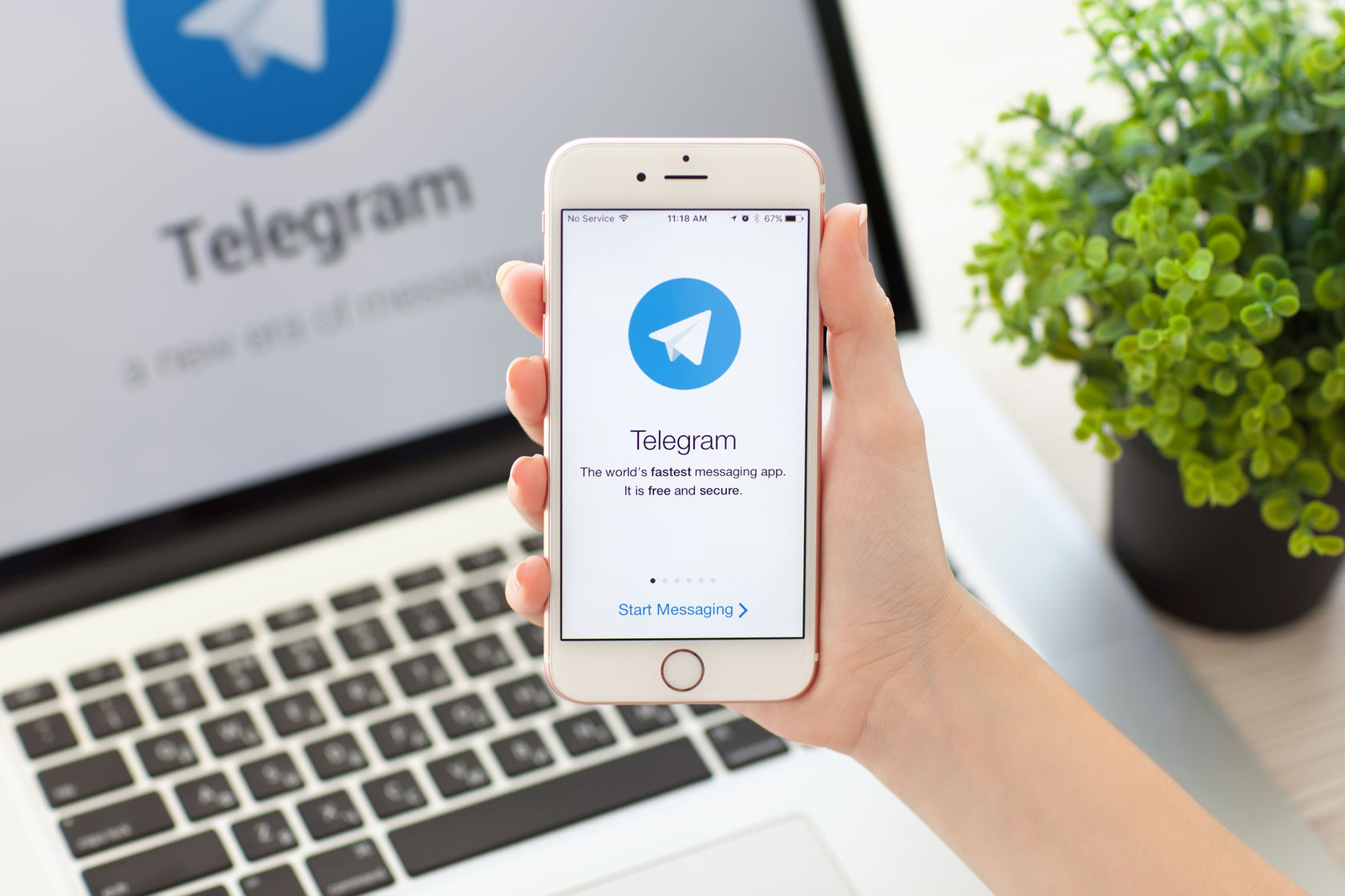 Telegram promete videochamadas em grupo seguras para este ano