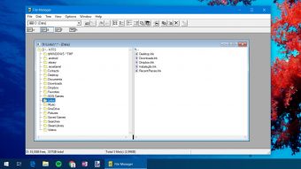 Um programa do Windows 3.0 foi adaptado na Microsoft para rodar no Windows 10