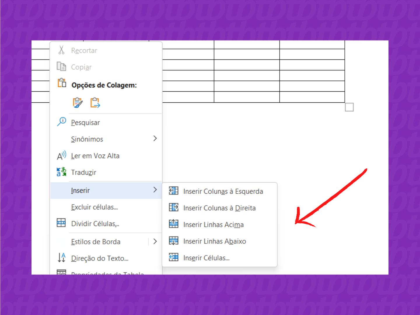 Captura de tela mostrando como adicionar linhas e colunas no Excel
