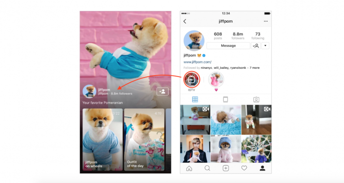 IGTV Perfil Instagram