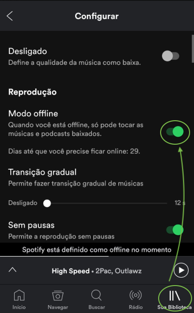 Como baixar músicas do Spotify para o iPhone [formas gratuitas]