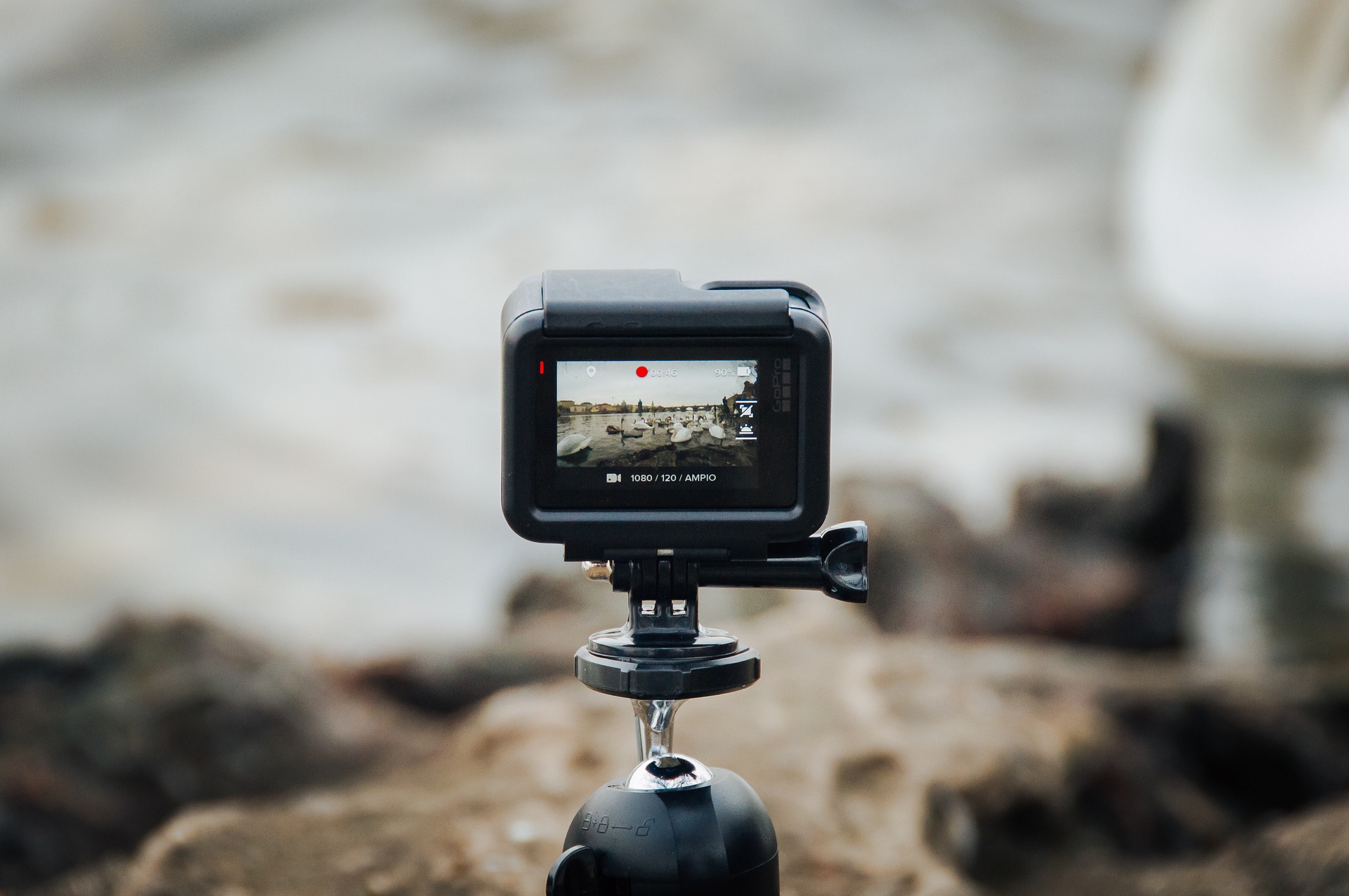Qual O Melhor Cart o De Mem ria Para GoPro Gadgets Tecnoblog Qual O Melhor Cart o De Mem ria Para GoPro Gadgets Tecnoblog