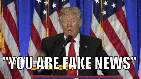 You Are Fake News - Trump