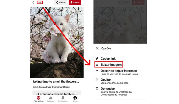 Como baixar imagens e GIFs do Pinterest – Tecnoblog