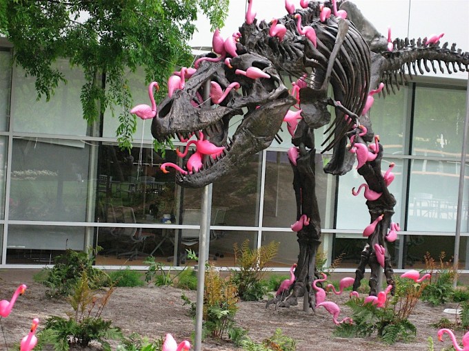 Tumblr / "Stan", o T-Rex do Googleplex decorado com flamingos rosas / onde fica a sede do google