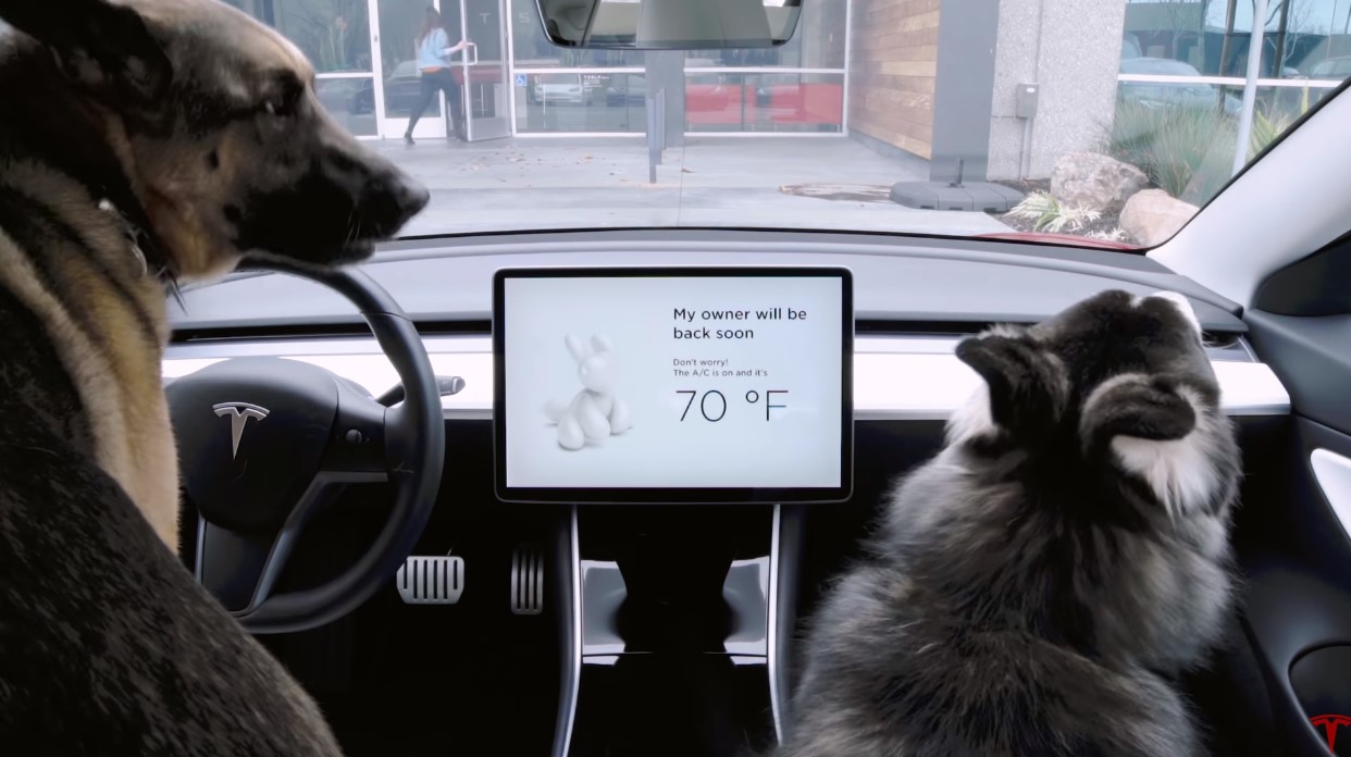 Tesla atualiza software de seus carros e adiciona modo cachorro