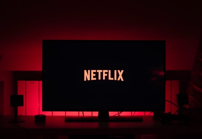 Netflix Brasil vai pagar para você ficar o dia inteiro no sofá - Meio Bit