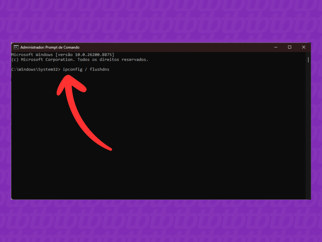 Prompt de Comando no Windows mostrando o comando ipconfig /flushdns para limpar o cache DNS