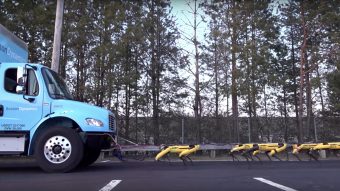 Robôs SpotMini da Boston Dynamics conseguem puxar um caminhão