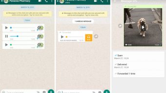 WhatsApp libera áudios em sequência e testa contador de encaminhamentos