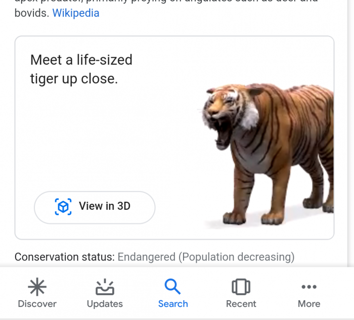 Tigre em realidade aumentada do Google