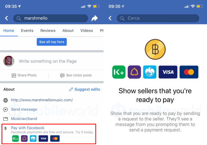 Pay with Facebook