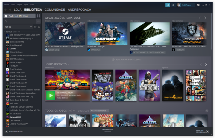 novo visual steam biblioteca