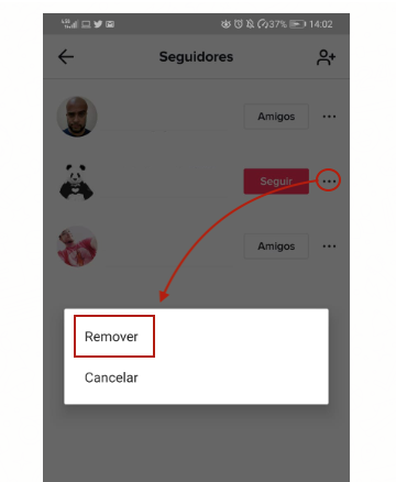 Remover Seguidor TikTok