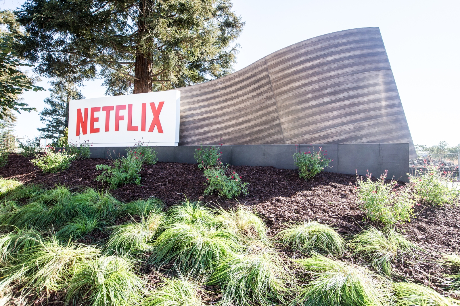 Netflix tem crescimento recorde e vai a 183 milhões de assinantes